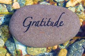 Attitude of Gratitude for Thanksgiving