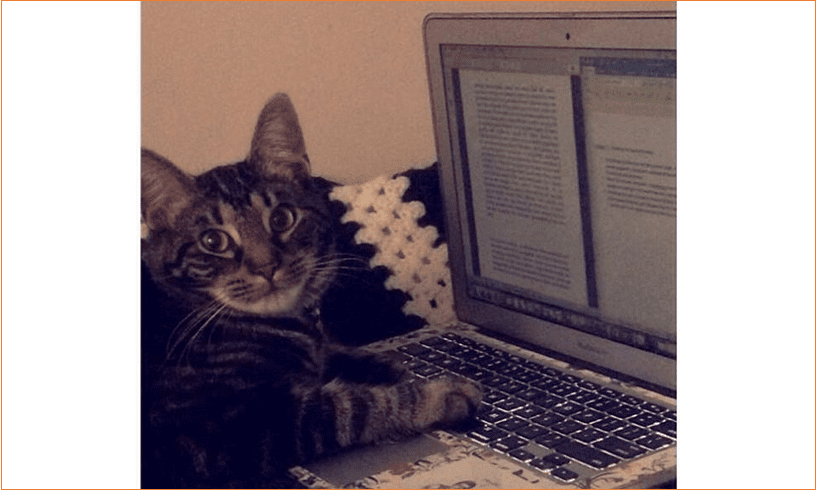How Cats Help Treat My Depression