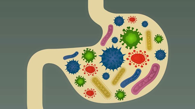 Research Summary: Gut Microbes Can Modify Our Mood And Behaviour, Research Reveals