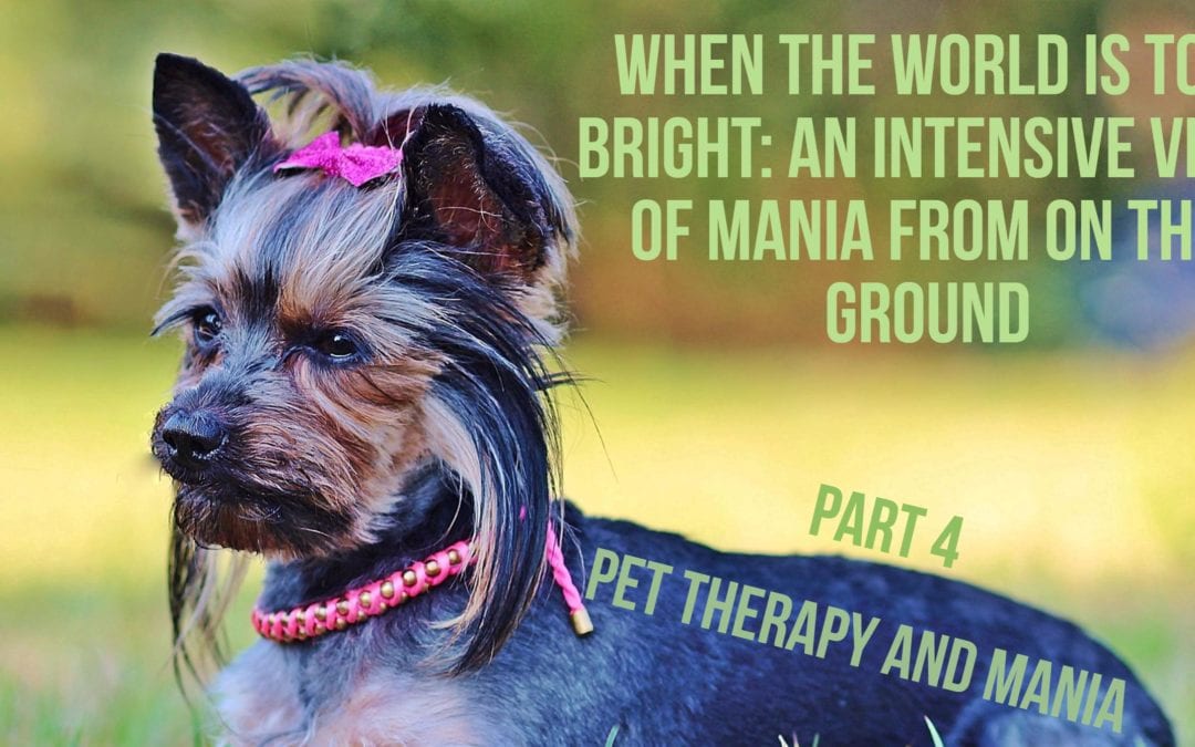 Pet Therapy and Mania