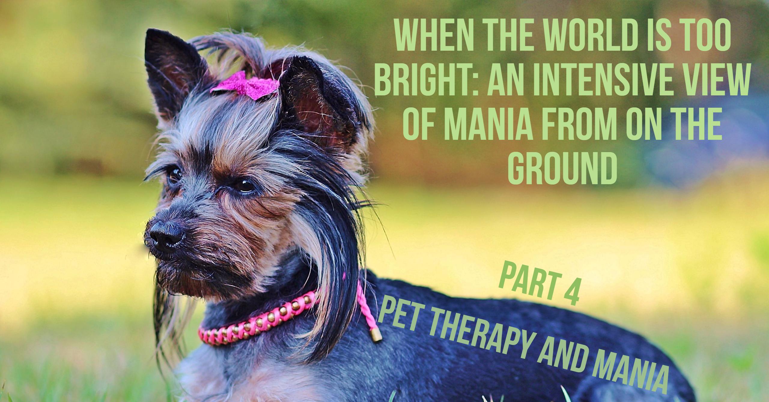 Pet Therapy and Mania