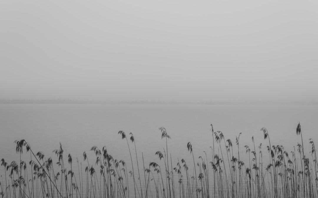 When the Fog Lifts: Accepting Yourself