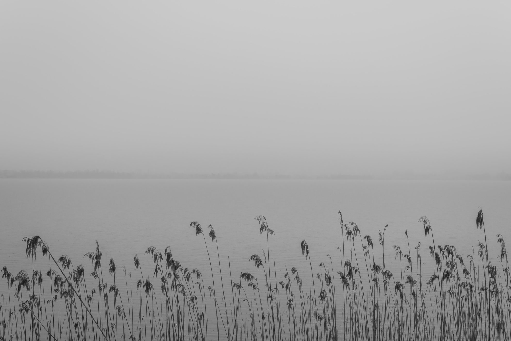 When the Fog Lifts: Accepting Yourself