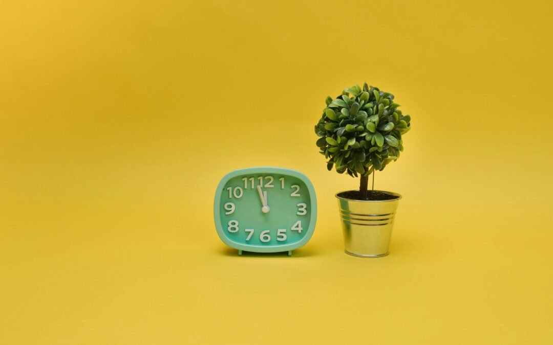 When the Clocks Spring Forward: Bipolar Disorder and the Weight of Time