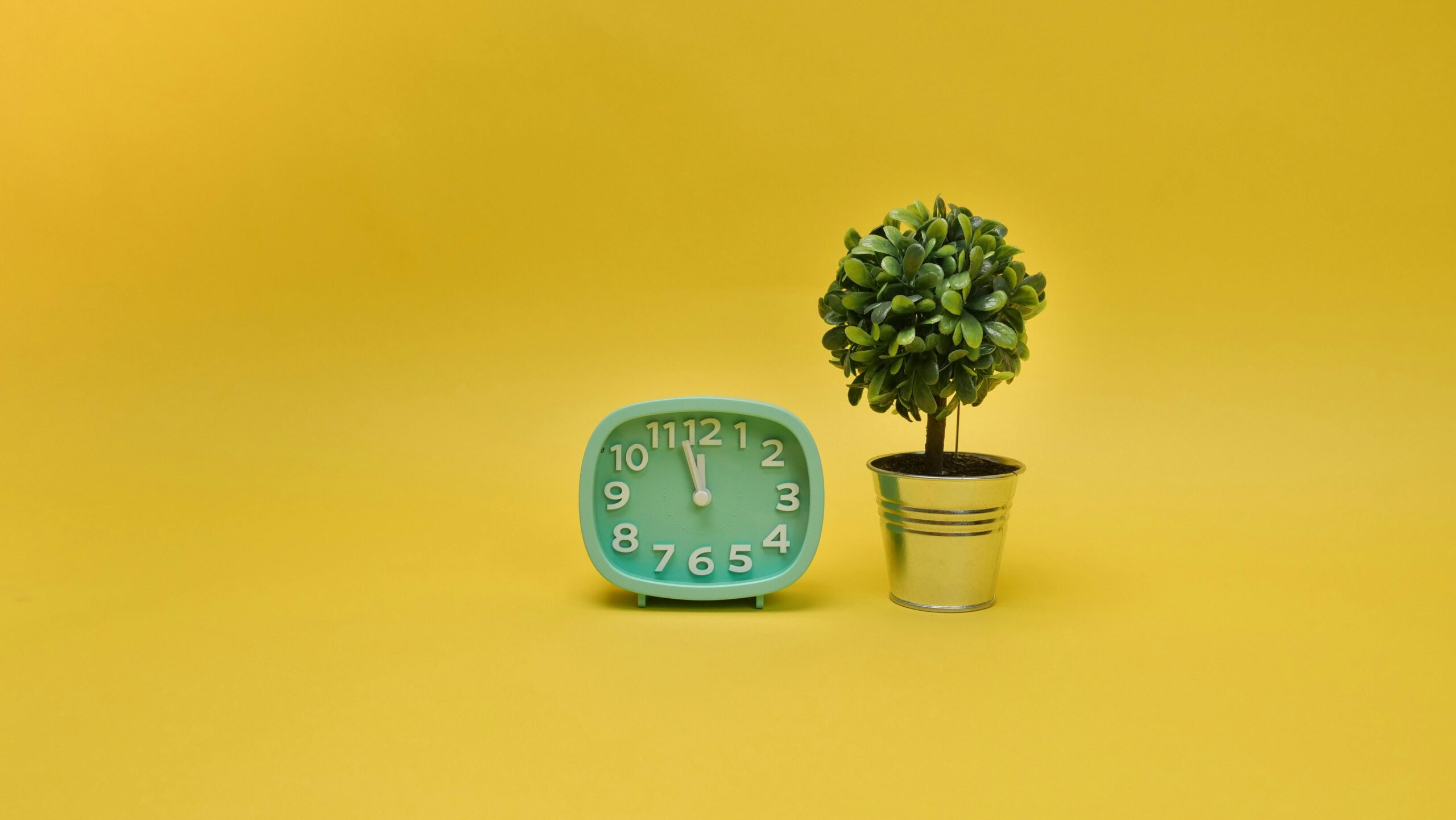 When the Clocks Spring Forward: Bipolar Disorder and the Weight of Time