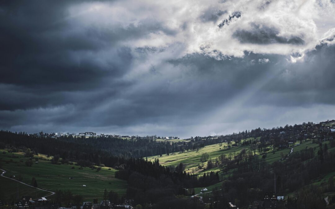 Wanting to Run, Wanting to Lie Down: On Inter-episode States in Bipolar Disorder